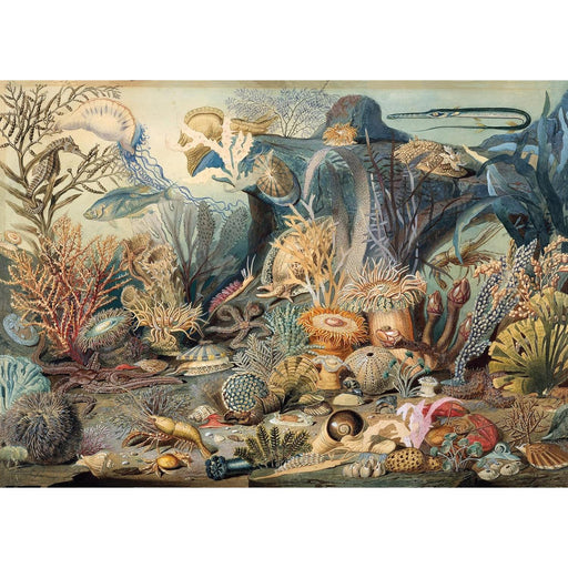 Ocean Life 1000 Piece Jigsaw Puzzle Peter Pauper - for just $19.99! 