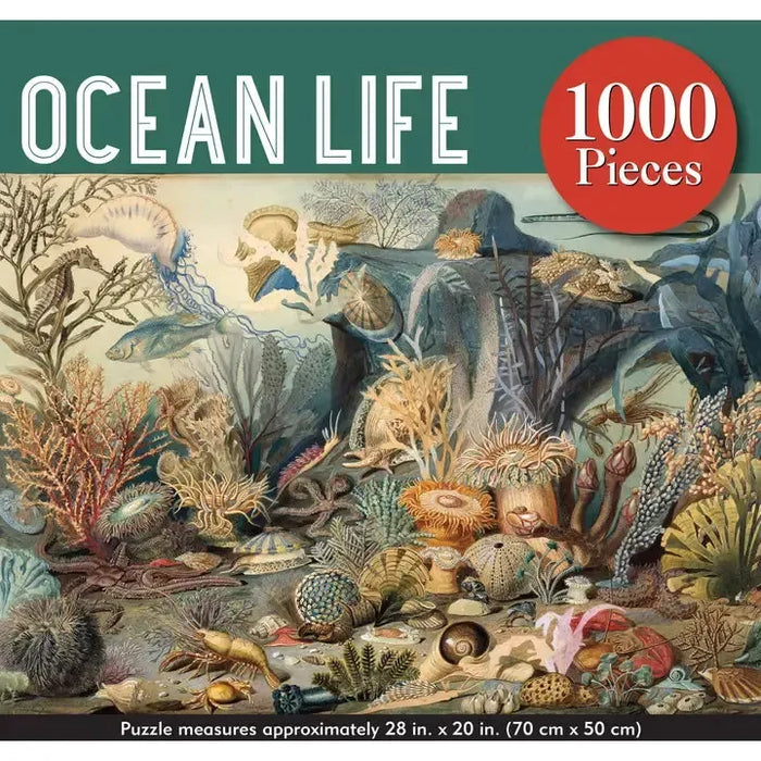 Ocean Life 1000 Piece Jigsaw Puzzle Peter Pauper - for just $19.99! 