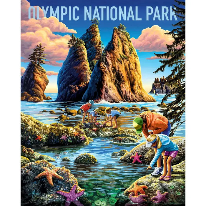 Olympic National Park 210 Piece Jigsaw Puzzle Boardwalk - for just $11.99! 