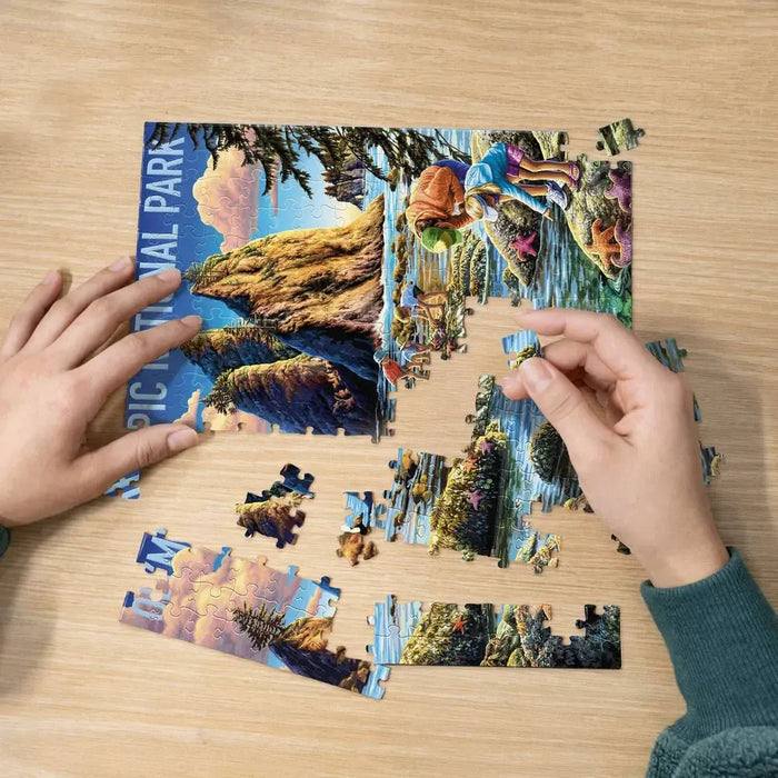 Olympic National Park 210 Piece Jigsaw Puzzle Boardwalk - for just $11.99! 