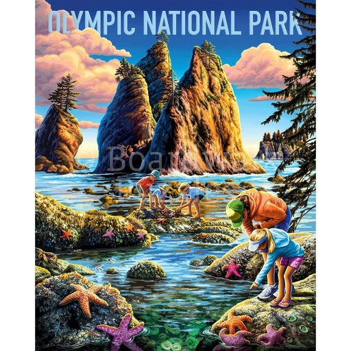 Olympic National Park 500 Piece Jigsaw Puzzle Boardwalk - for just $21.99! 