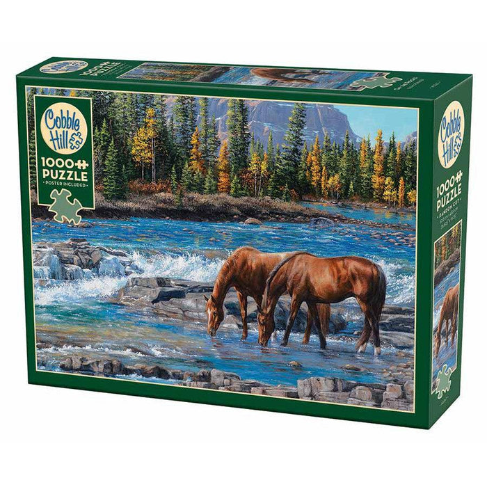 On the Rocks 1000 Piece Jigsaw Puzzle Cobble Hill - for just $19.99! 