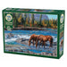 On the Rocks 1000 Piece Jigsaw Puzzle Cobble Hill - for just $19.99! 