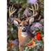 One Deer Two Cardinal 500 Piece Jigsaw Puzzle Cobble Hill - for just $17.99! 
