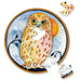 Owl 33 Piece Mini Matchbox Jigsaw Puzzle Curiosi - for just $5.99! 