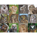 Owls & Owlets 1000 Piece Jigsaw Puzzle NYPC - for just $28.99! 