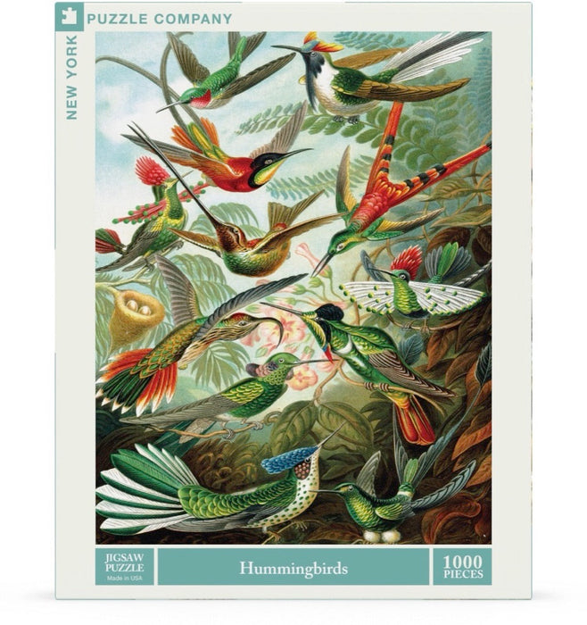 Hummingbirds - Just $25! Shop now at Retro Gaming of Denver