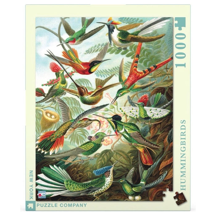 Hummingbirds - Just $25! Shop now at Retro Gaming of Denver