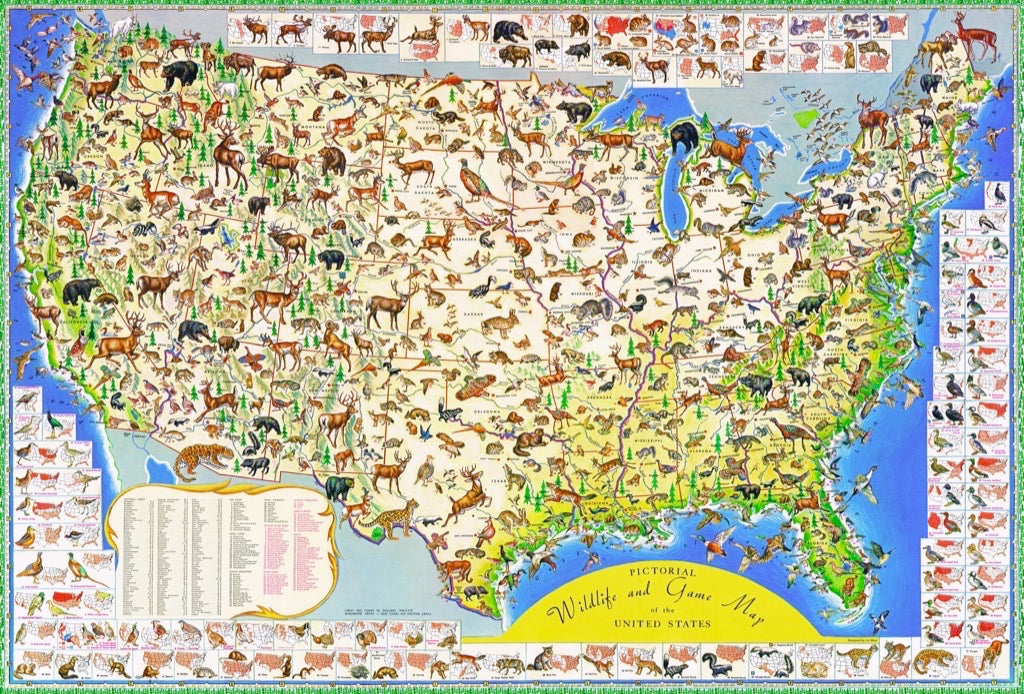 Wildlife Map - Just $35! Shop now at Retro Gaming of Denver