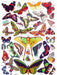 Butterflies ~ Papillons - Just $25! Shop now at Retro Gaming of Denver