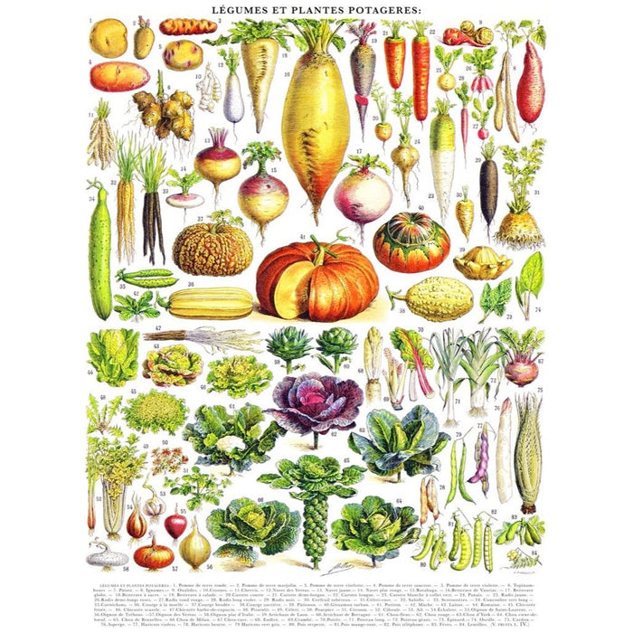 Vegetables ~ Légumes - Just $25! Shop now at Retro Gaming of Denver