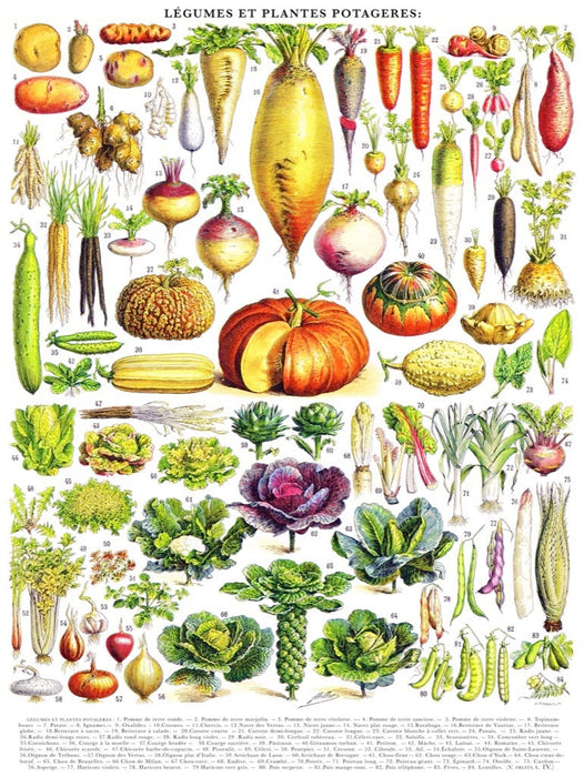 Vegetables ~ Légumes - Just $25! Shop now at Retro Gaming of Denver