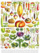 Vegetables ~ Légumes - Just $25! Shop now at Retro Gaming of Denver