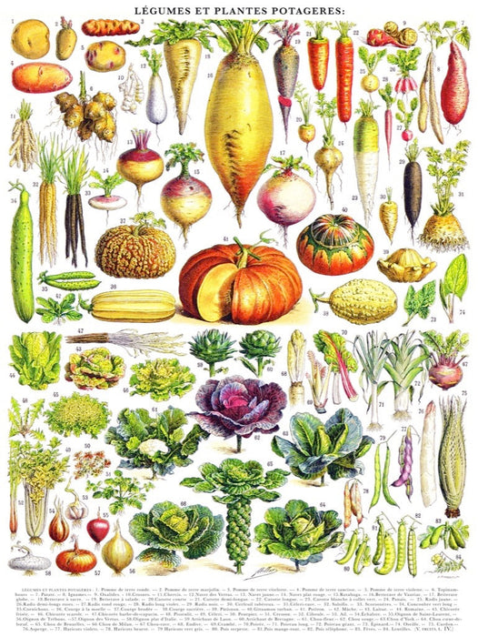 Vegetables ~ Légumes - for just $25! 