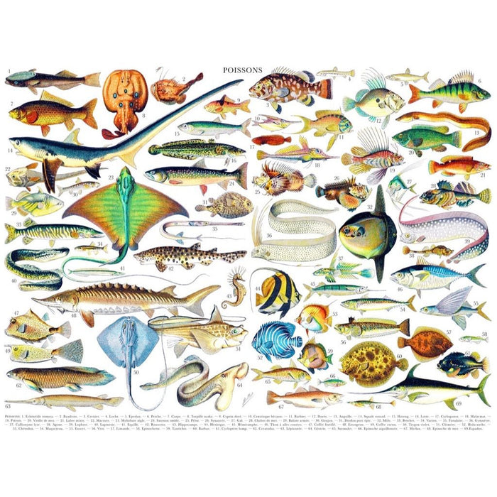 Fish ~ Poissons - Premium Puzzle - Just $18.75! Shop now at Retro Gaming of Denver