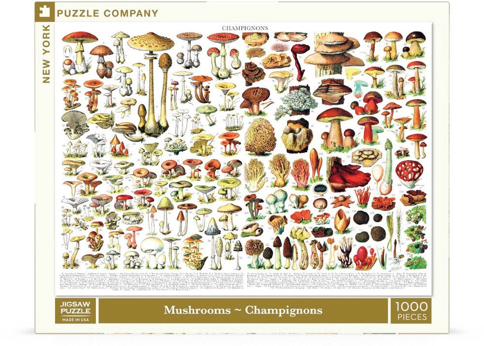 Mushrooms ~ Champignons - for just $25! 