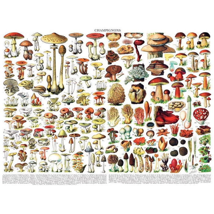 Mushrooms ~ Champignons - Just $25! Shop now at Retro Gaming of Denver