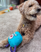 Paw-lymorph Dog Toy: The BeSlobber - for just $18! 