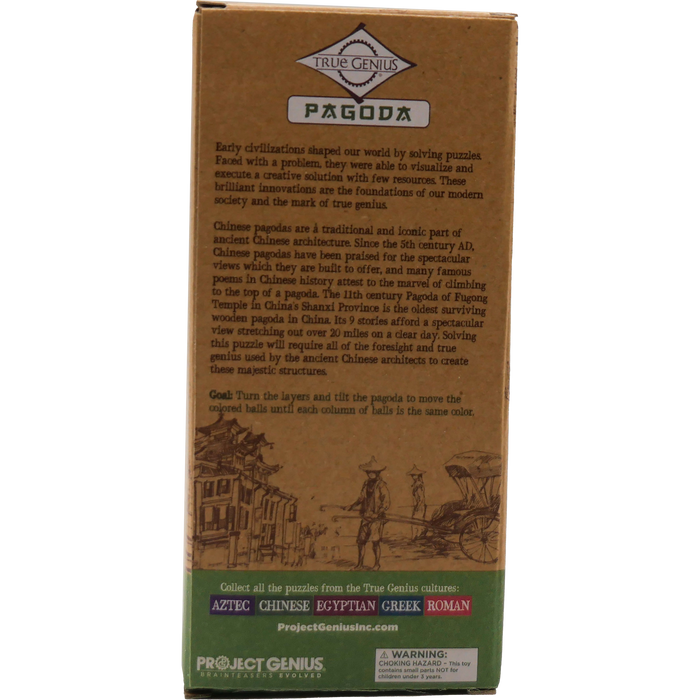 Pagoda Brainteaser Puzzle True Genius - for just $16.99! 