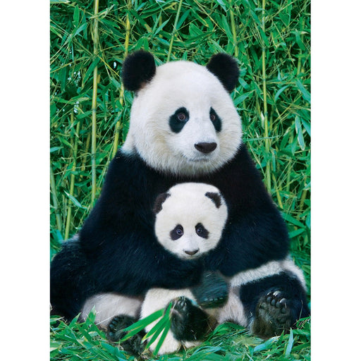 Panda & Baby 1000 Piece Jigsaw Puzzle Eurographics - for just $19.99! 