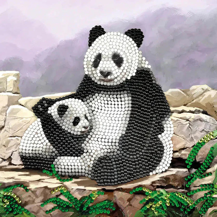 Panda Crystal Art Card Kit Craft Buddy - for just $7.99! 