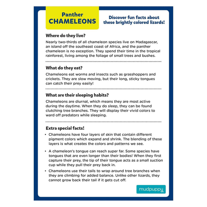 Panther Chameleon 48 Piece Mini Jigsaw Puzzle Mudpuppy - for just $4.99! 