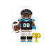 Carolina Panthers - NFL - for just $4.65! 