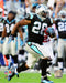 Jonathan Stewart Carolina Panthers NFL Football 8" x 10" Photo - for just $3! 
