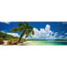 Paradise Palms 2000 Piece Panoramic Jigsaw Puzzle Heye - for just $49.99! 