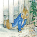Peter Rabbit Under the Gate Crystal Art Card Kit Craft Buddy - for just $7.99! 