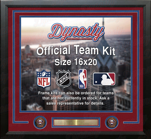 Philadelphia Phillies Custom MLB Baseball 16x20 Picture Frame Kit (Multiple Colors) - for just $49.99! 