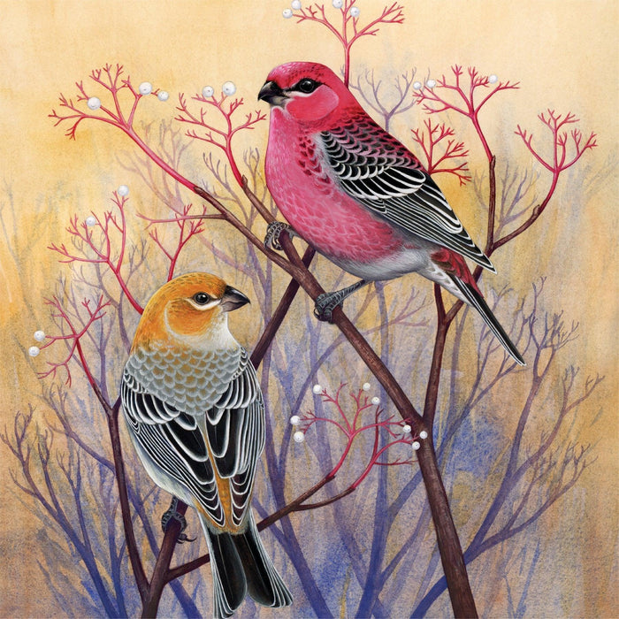 Pine Grosbeaks 500 Piece Jigsaw Puzzle NYPC - for just $22.99! 