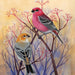 Pine Grosbeaks 500 Piece Jigsaw Puzzle NYPC - for just $22.99! 