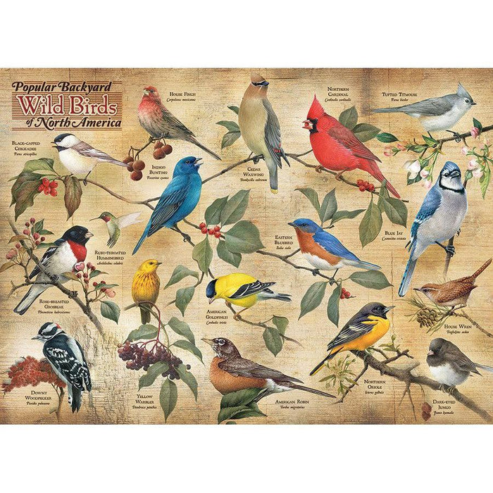 Popular Backyard Wild Birds of North America 1000 Piece Jigsaw Puzzle Cobble Hill - for just $19.99! 