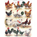 Poules ~ Poultry Vintage Collection 500 Piece Jigsaw Puzzle NYPC - for just $26.99! 