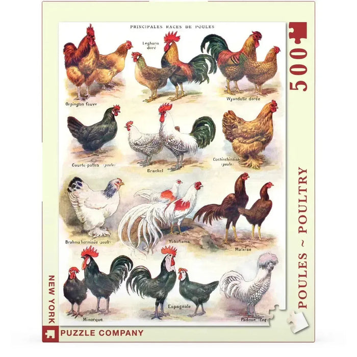 Poules ~ Poultry Vintage Collection 500 Piece Jigsaw Puzzle NYPC - for just $26.99! 