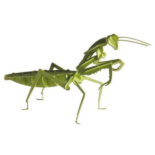 Praying Mantis 3D Cardboard Model Kit Fridolin - for just $7.99! 