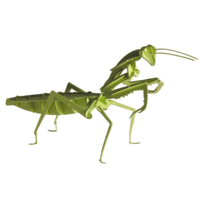 Praying Mantis 3D Cardboard Model Kit Fridolin - for just $7.99! 