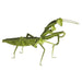Praying Mantis 3D Cardboard Model Kit Fridolin - for just $7.99! 