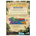 Pyramido: Forgotten Treasures - for just $34.99! 