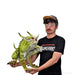D&D: Quasit Life-Sized Familiar - for just $649.99! 