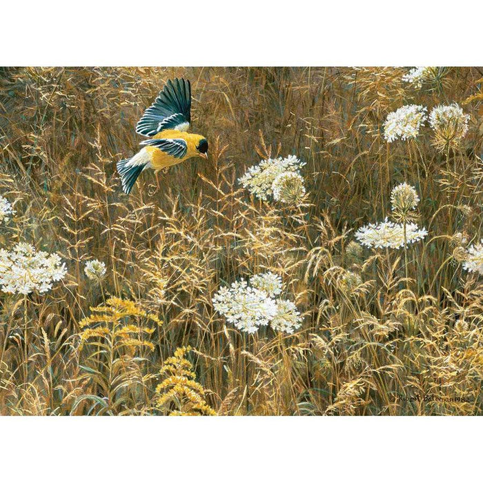 Queen Anne's Lace & American Goldfinch 500 Piece Jigsaw Puzzle Cobble Hill - for just $17.99! 