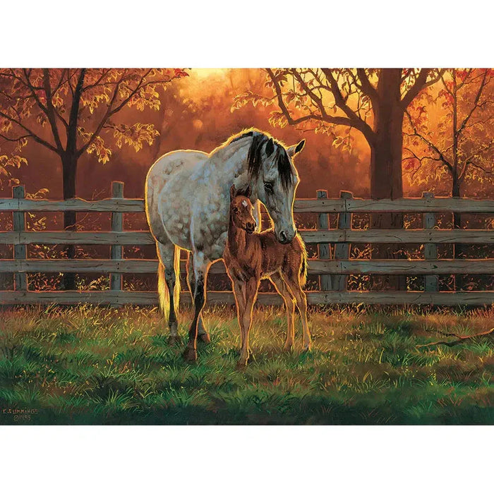 Quiet Time 500 Piece Jigsaw Puzzle Cobble Hill - for just $17.99! 