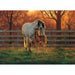 Quiet Time 500 Piece Jigsaw Puzzle Cobble Hill - for just $17.99! 