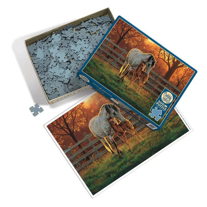 Quiet Time 500 Piece Jigsaw Puzzle Cobble Hill - for just $17.99! 