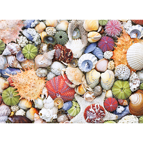 Puzzle: Seashore - for just $19.99! 