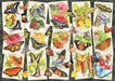 Ravensburger: Puzzle - Tropical Butterflies - for just $24.99! 
