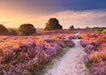 Ravensburger: Puzzle - Puzzle Highlights - Beautiful Walkways - Pink Pathway - for just $24.99! 