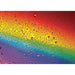 Rainbow Drops 1000 Piece Jigsaw Puzzle Enjoy - for just $24.99! 