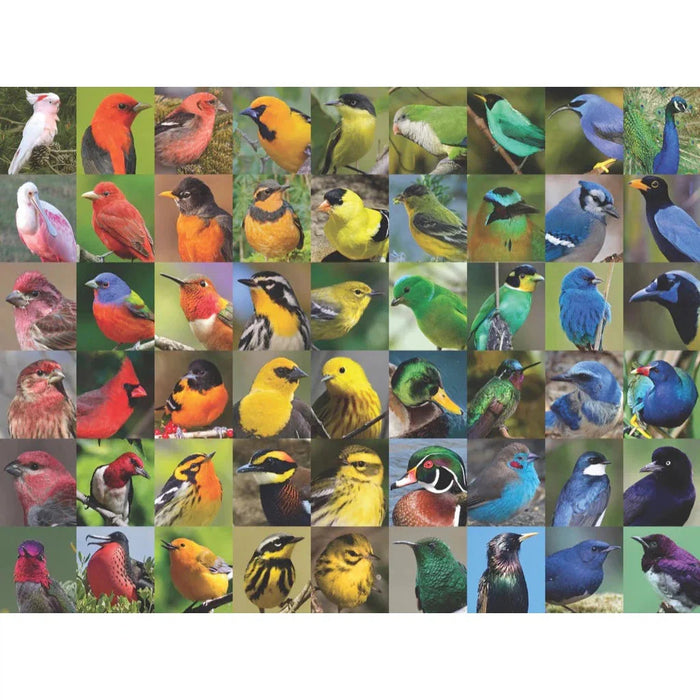Rainbow of Birds 1000 Piece Jigsaw Puzzle NYPC - for just $24.99! 